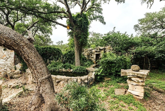 0000 Oakwood Loop, San Marcos, TX 78666 - view of undeveloped land