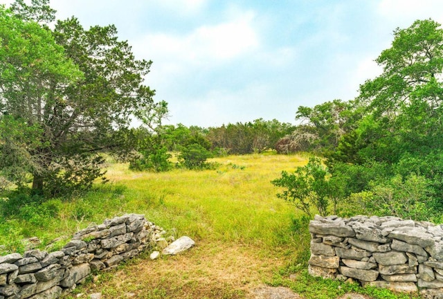 0000 Oakwood Loop, San Marcos, TX 78666 - view of yard with a wooded view