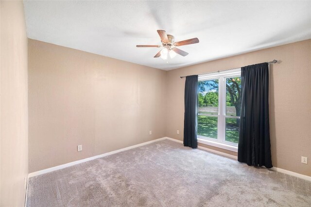 2460 State Highway 95 N, Moulton, TX 77975 - photo 24