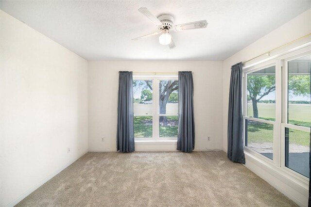 2460 State Highway 95 N, Moulton, TX 77975 - photo 25