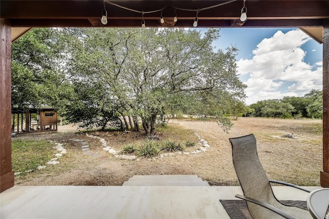 7741 W Fm 243, Bertram, TX 78605 - view of yard