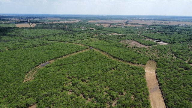 TBD Lively Stone Rd, Lockhart, TX 78644