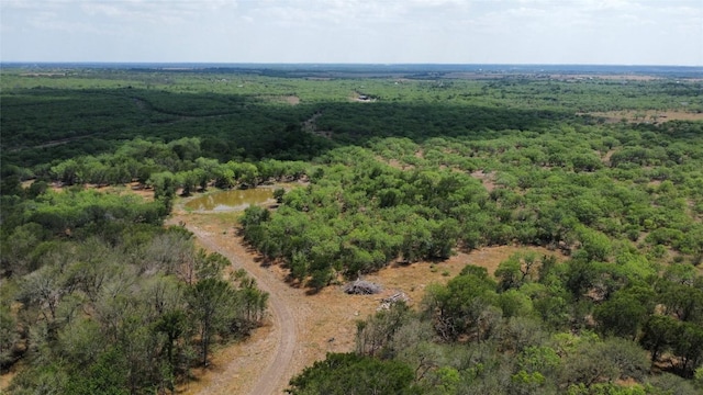 TBD Lively Stone Rd, Lockhart, TX 78644