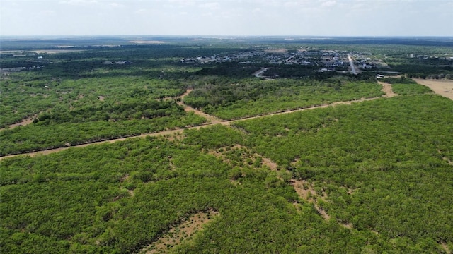 TBD Lively Stone Rd, Lockhart, TX 78644