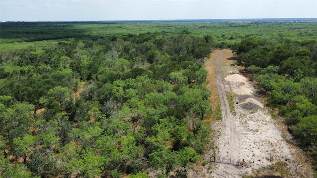 TBD Lively Stone Rd, Lockhart, TX 78644