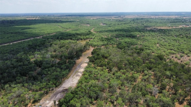 TBD Lively Stone Rd, Lockhart, TX 78644