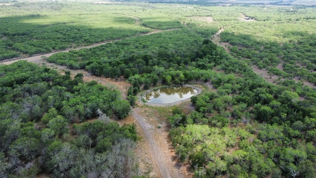 TBD Lively Stone Rd, Lockhart, TX 78644