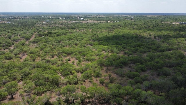 TBD Lively Stone Rd, Lockhart, TX 78644