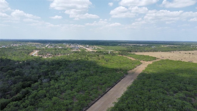 TBD Lively Stone Rd, Lockhart, TX 78644