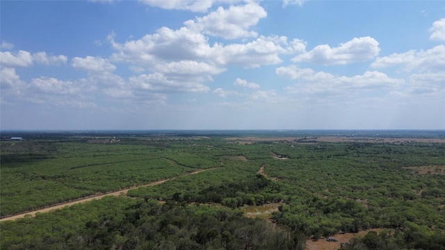 TBD Lively Stone Rd, Lockhart, TX 78644