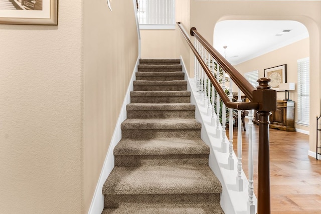 15150 Galena Dr, Austin, TX 78717 - stairway featuring wood finished floors, baseboards, and arched walkways