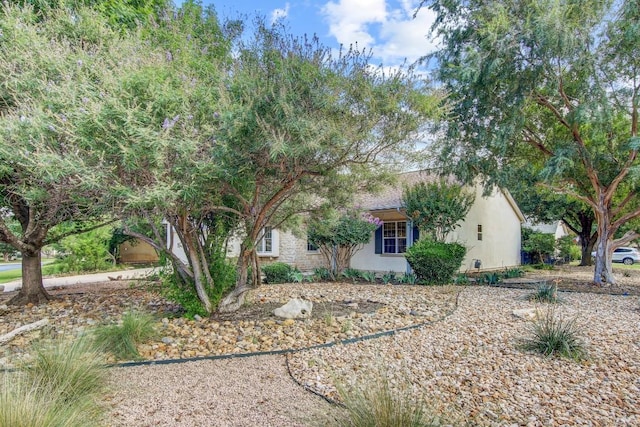 401 Texas Dr, Georgetown, TX 78633 - view of property hidden behind natural elements with stucco siding
