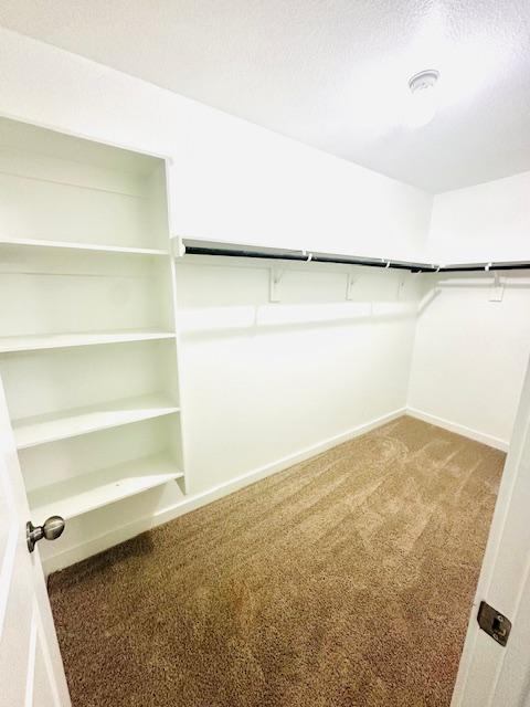 2376 Sawdust Dr, Georgetown, TX 78633 - walk in closet featuring carpet floors