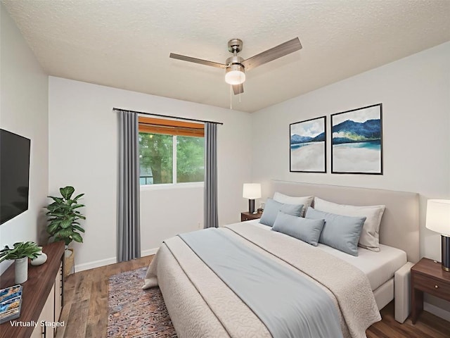 410 Blueberry Hl, Austin, TX 78745 - bedroom with wood finished floors, ceiling fan, and a textured ceiling