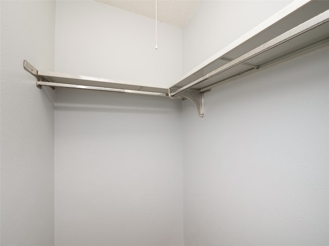 410 Blueberry Hl, Austin, TX 78745 - view of walk in closet