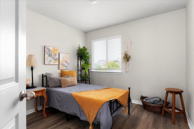228 Wallops, Kyle, TX 78640 - bedroom featuring wood finished floors and baseboards