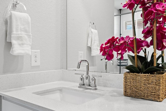 19825 Abigail Fillmore Rd, Manor, TX 78653 - bathroom view of vanity and a textured wall