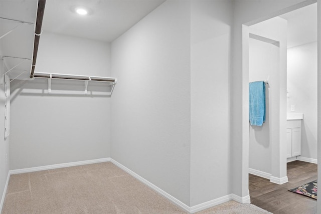 19825 Abigail Fillmore Rd, Manor, TX 78653 - view of walk in closet