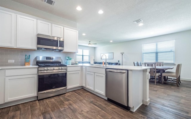 4701 Tully Dr, Pflugerville, TX 78660 - kitchen with appliances with stainless steel finishes, a sink, recessed lighting, dark wood-type flooring, and white cabinetry