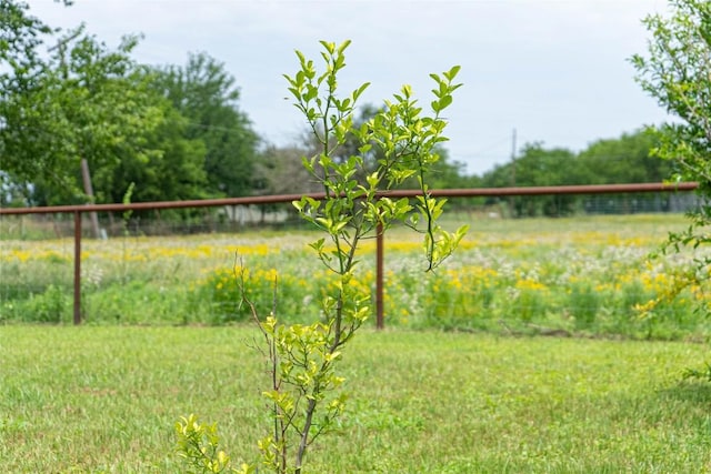802 Smith Rd, Rockdale, TX 76567 - view of yard