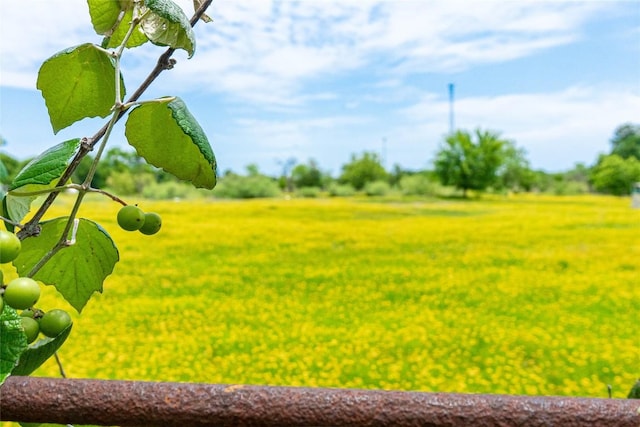 802 Smith Rd, Rockdale, TX 76567 - view of grassy yard