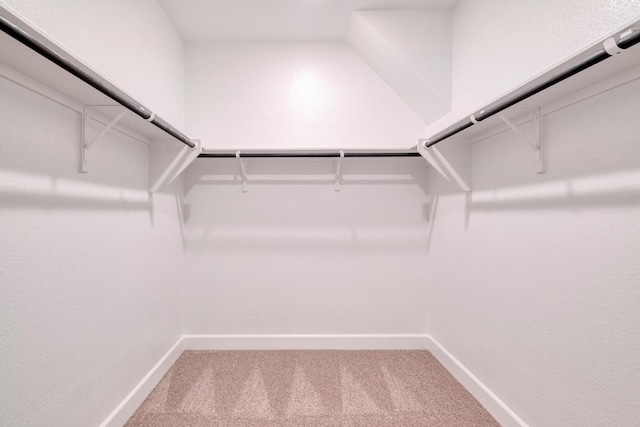 17112 Vernal Rd, Manor, TX 78653 - walk in closet featuring carpet floors