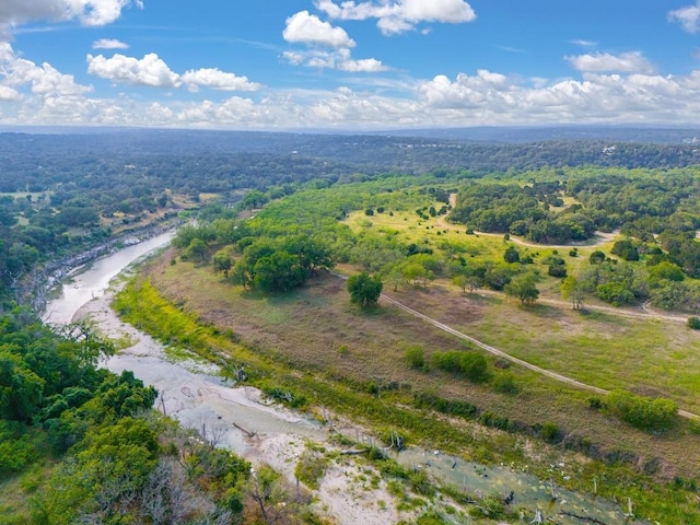 1942 Paradise Pkwy, Canyon Lake, TX 78133 - photo 3