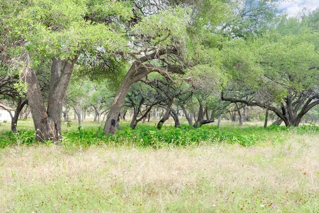 1942 Paradise Pkwy, Canyon Lake, TX 78133 - photo 9