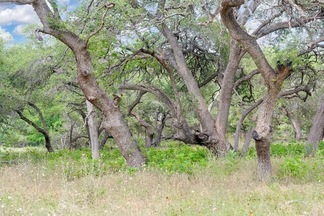 1942 Paradise Pkwy, Canyon Lake, TX 78133 - photo 11