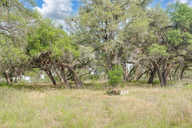 1942 Paradise Pkwy, Canyon Lake, TX 78133 - photo 12