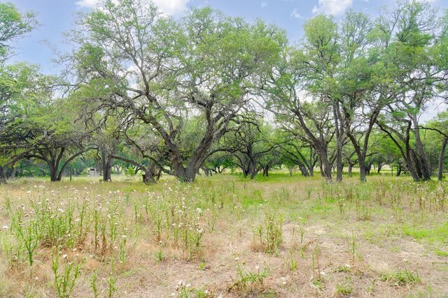 1942 Paradise Pkwy, Canyon Lake, TX 78133 - photo 15