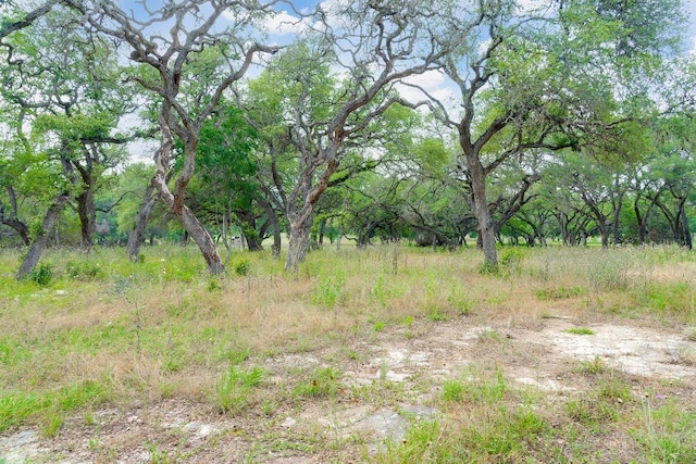 1942 Paradise Pkwy, Canyon Lake, TX 78133 - photo 16