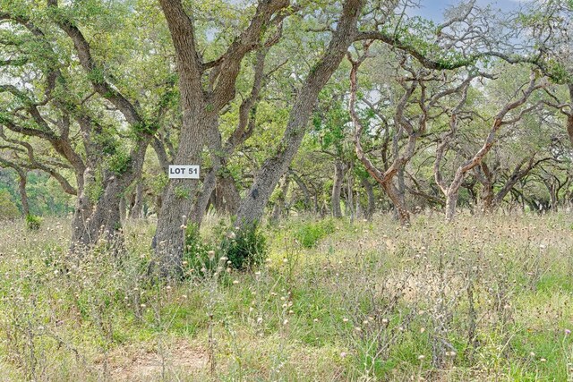 1942 Paradise Pkwy, Canyon Lake, TX 78133 - photo 17