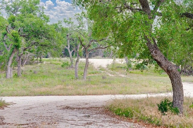 1942 Paradise Pkwy, Canyon Lake, TX 78133 - photo 19