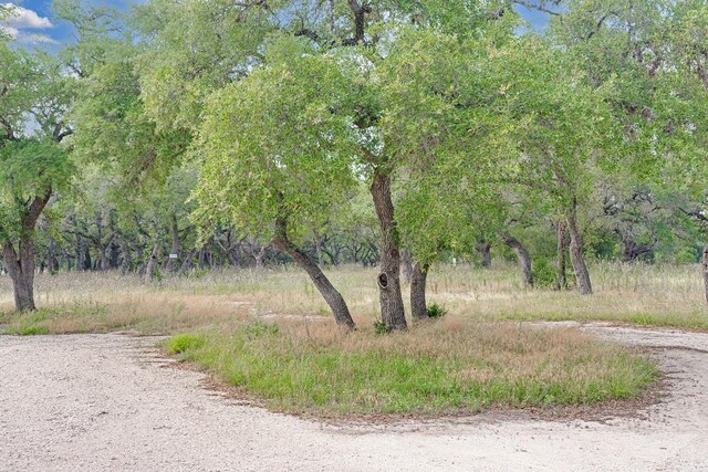 1942 Paradise Pkwy, Canyon Lake, TX 78133 - photo 21