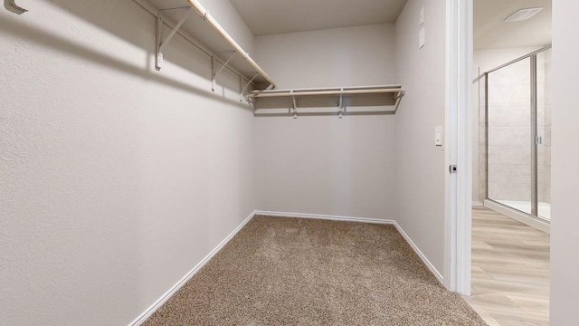 175 Rearden Blvd, Jarrell, TX 76537 - spacious closet with light colored carpet