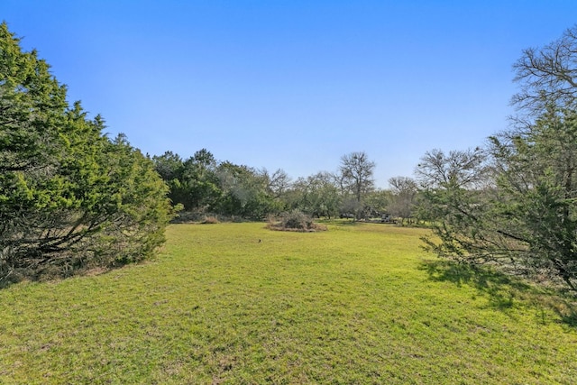 9300 N Madrone Trl, Austin, TX 78737 - view of green lawn