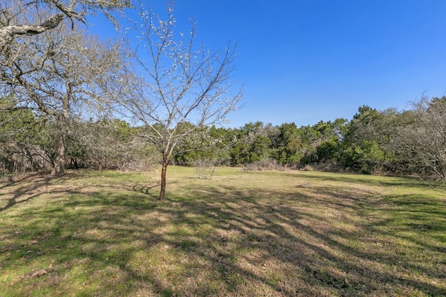 9300 N Madrone Trl, Austin, TX 78737 - view of green lawn with a view of trees