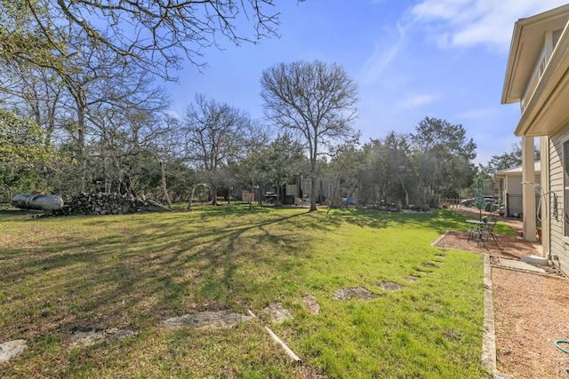 9300 N Madrone Trl, Austin, TX 78737 - view of green lawn