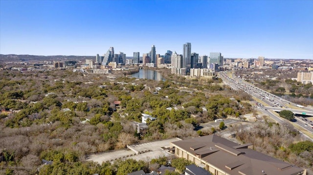 1405 Parkinson Dr, Austin, TX 78704 - aerial view of skyline