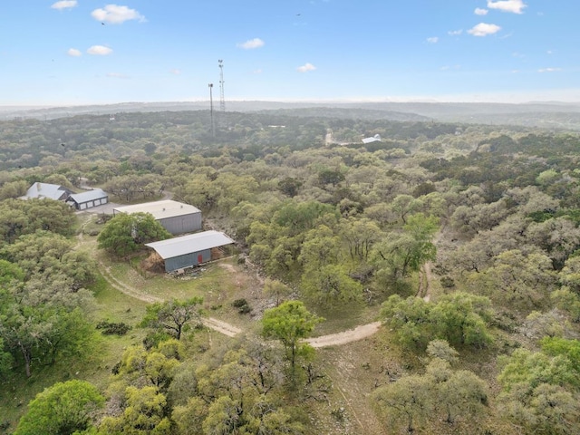 27846 Natural Bridge Caverns Rd, San Antonio, TX 78266 - view from above of property with a heavily wooded area