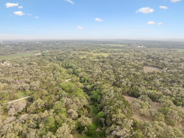 27846 Natural Bridge Caverns Rd, San Antonio, TX 78266 - aerial view of a forest