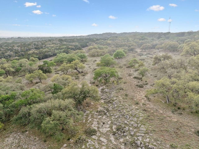27846 Natural Bridge Caverns Rd, San Antonio, TX 78266 - bird's eye view