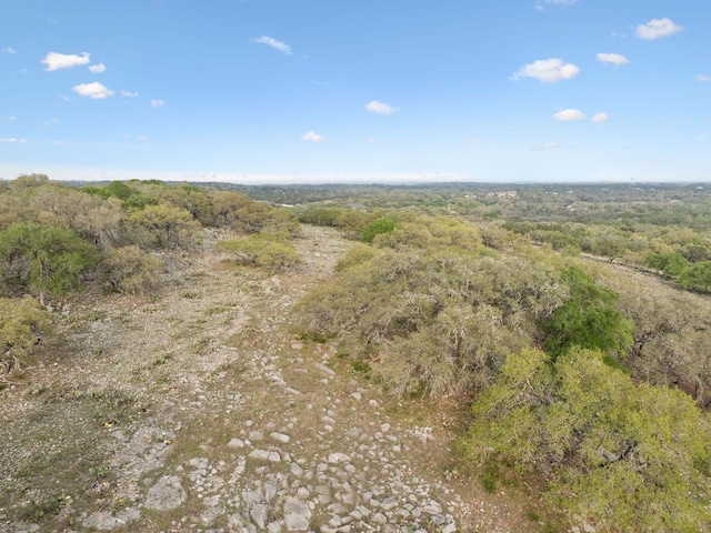 27846 Natural Bridge Caverns Rd, San Antonio, TX 78266 - view of wooded area