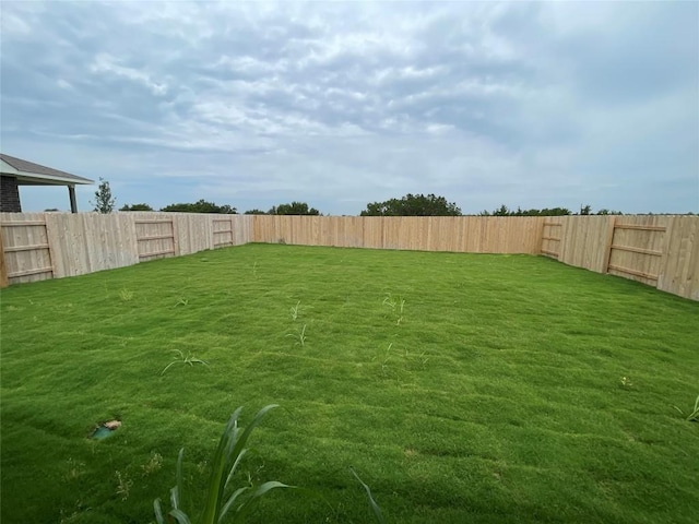 2460 Walking Y Rd, Georgetown, TX 78633 - view of yard