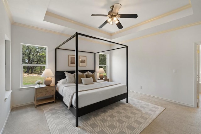 14717 Crosscreek Dr, Austin, TX 78737 - bedroom featuring a tray ceiling, multiple windows, ornamental molding, and light carpet