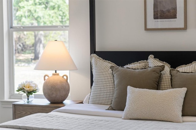 14717 Crosscreek Dr, Austin, TX 78737 - view of bedroom