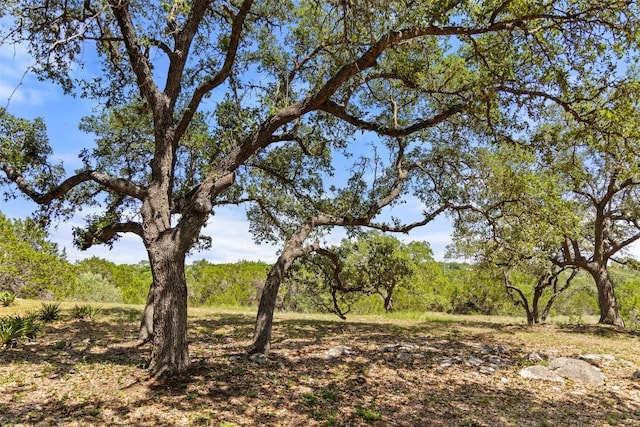 14717 Crosscreek Dr, Austin, TX 78737 - view of tree filled area