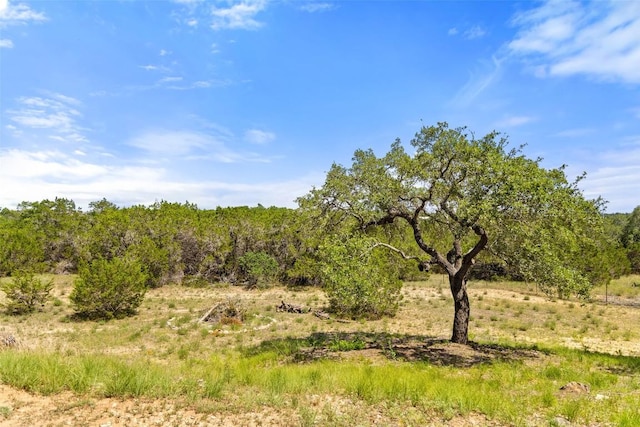 14717 Crosscreek Dr, Austin, TX 78737 - view of local wilderness