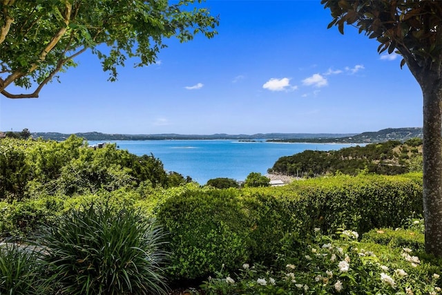 12821 Park Dr, Austin, TX 78732 - water view